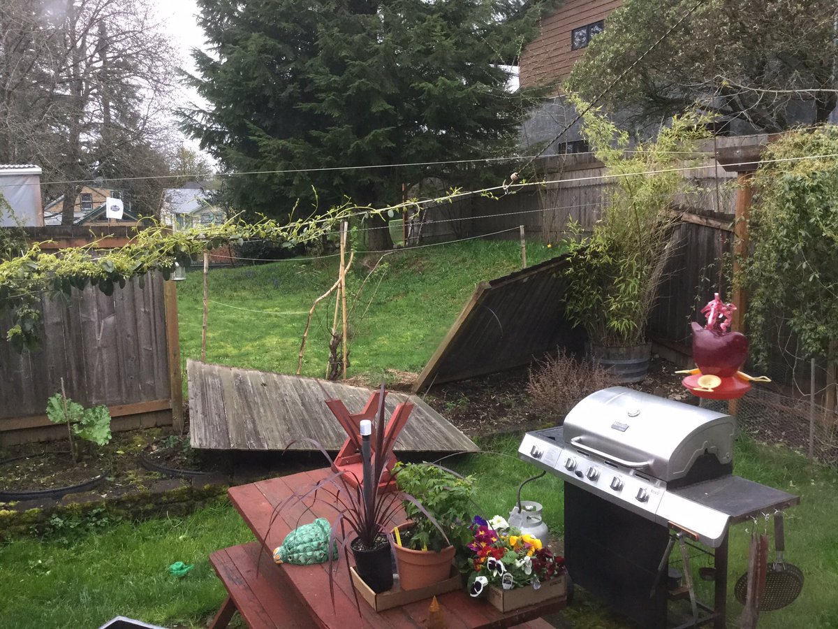 mtBrck's tweet photo. Wind damage here in #nepdx. #pdxtst #orwx https://t.co/je3Lt7UblF
