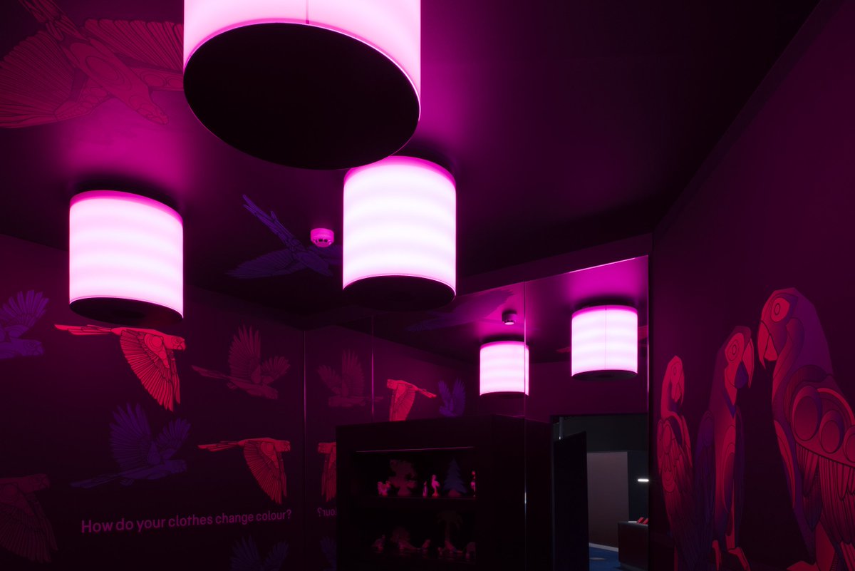 MediaMuseum's tweet photo. What colour are the parrots? Visit our #Wonderlab colour room to investigate. Lighting by @mgrubbstudio and illustrations by @Saroj_Patel https://t.co/CT0lpEz0LE