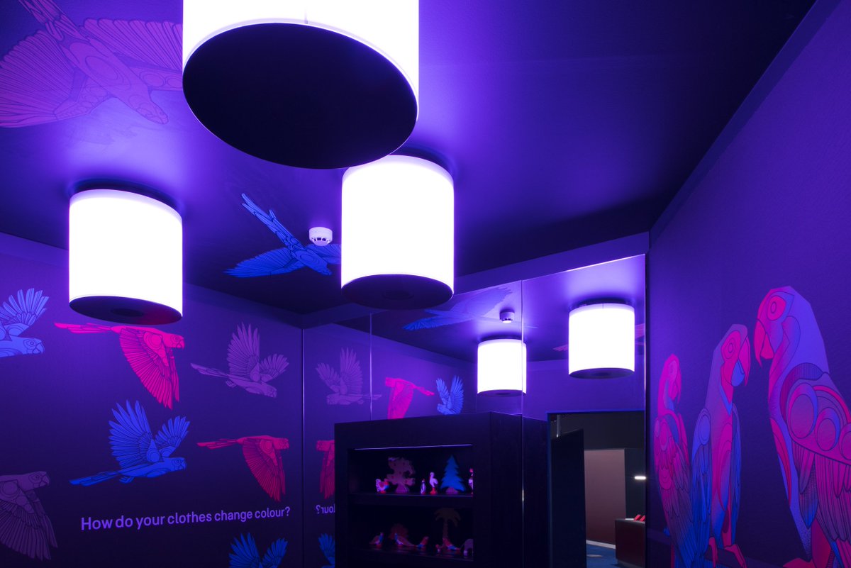MediaMuseum's tweet photo. What colour are the parrots? Visit our #Wonderlab colour room to investigate. Lighting by @mgrubbstudio and illustrations by @Saroj_Patel https://t.co/CT0lpEz0LE