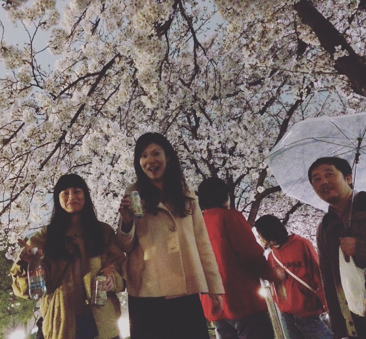 扇町公園花見 Twitter Search 扇町公園花見 Twitter Search