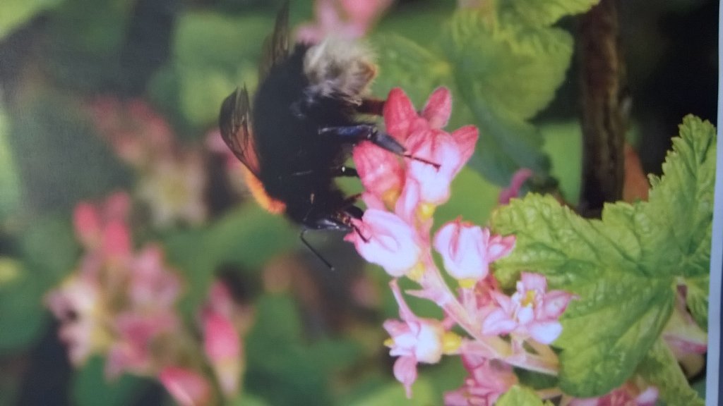 exhausting but rewarding week in #Dewsbury + #Doncaster #GCSE #Photography Well done Lewis, George and Brad Axe. 📷
