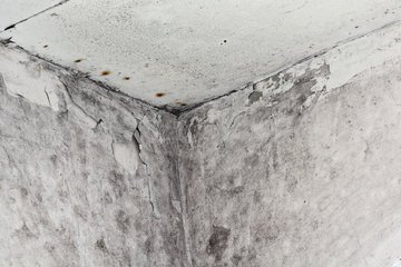 Mold Inspection Near Me