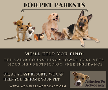 GoodDogAdmiral's tweet photo. How can we help you? https://t.co/A4M9Pward6 #petparentsupport #dogs #cats #pocketpets #adoptdontshop #pitbullsofinstagram #rescuefactor https://t.co/SScFw5wETe