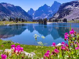 Fawaz034's tweet photo. .
{ هَٰذَا خَلْقُ اللَّهِ فَأَرُونِي مَاذَا خَلَقَ الَّذِينَ مِن دُونِهِ ۚ}
🍂🍂🍂 https://t.co/mGXyf3qfWx