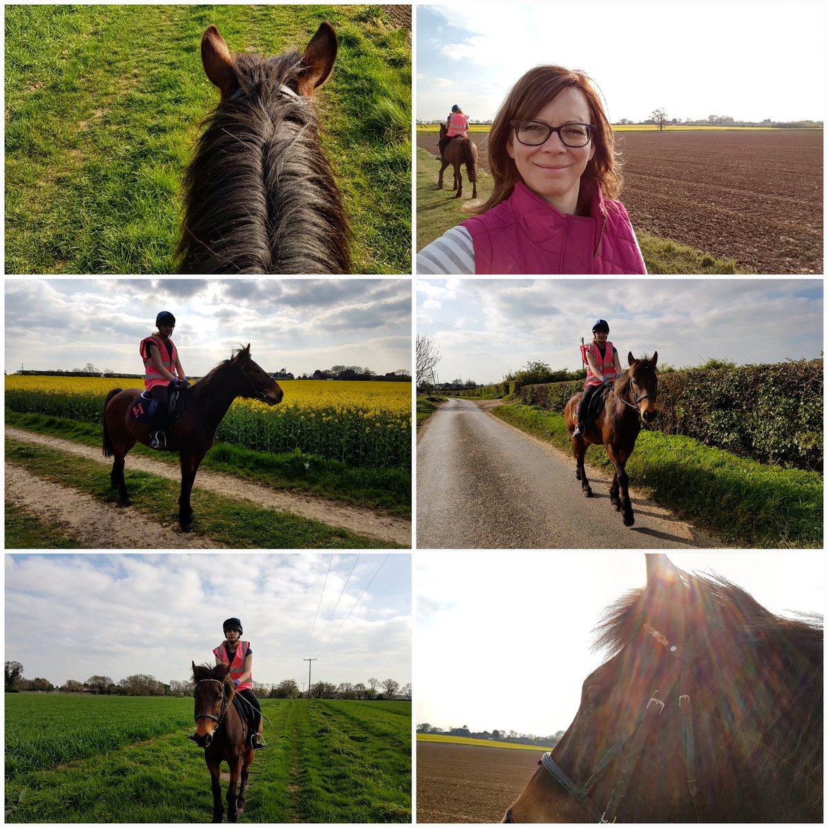 grimesyjd's tweet photo. Lovely afternoon 🐴 https://t.co/Xn3ZShH4A6