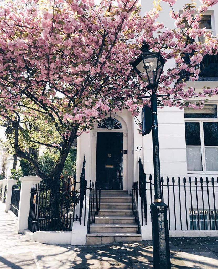 Londongramer's tweet image. #Chelsea vibes from @katya_jackson 🌸💗 || #thisislondon ift.tt/2oL6xDw