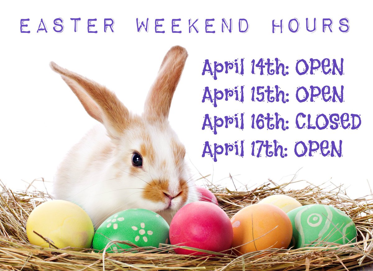 InfoMomentum's tweet photo. 🐣 Call in to inquire more about hours! 📞☎ 905-727-3029 https://t.co/xaRsvpa0Gj