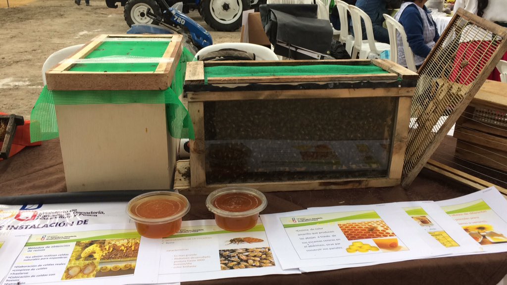 Agricultura_CZ6's tweet photo. #AZUAY| Conoce programas y proyectos del #MAGAP en nuestro stand mañana en Recinto Ferial Centro Agrícola desde las 8am https://t.co/75oQUmzhnG