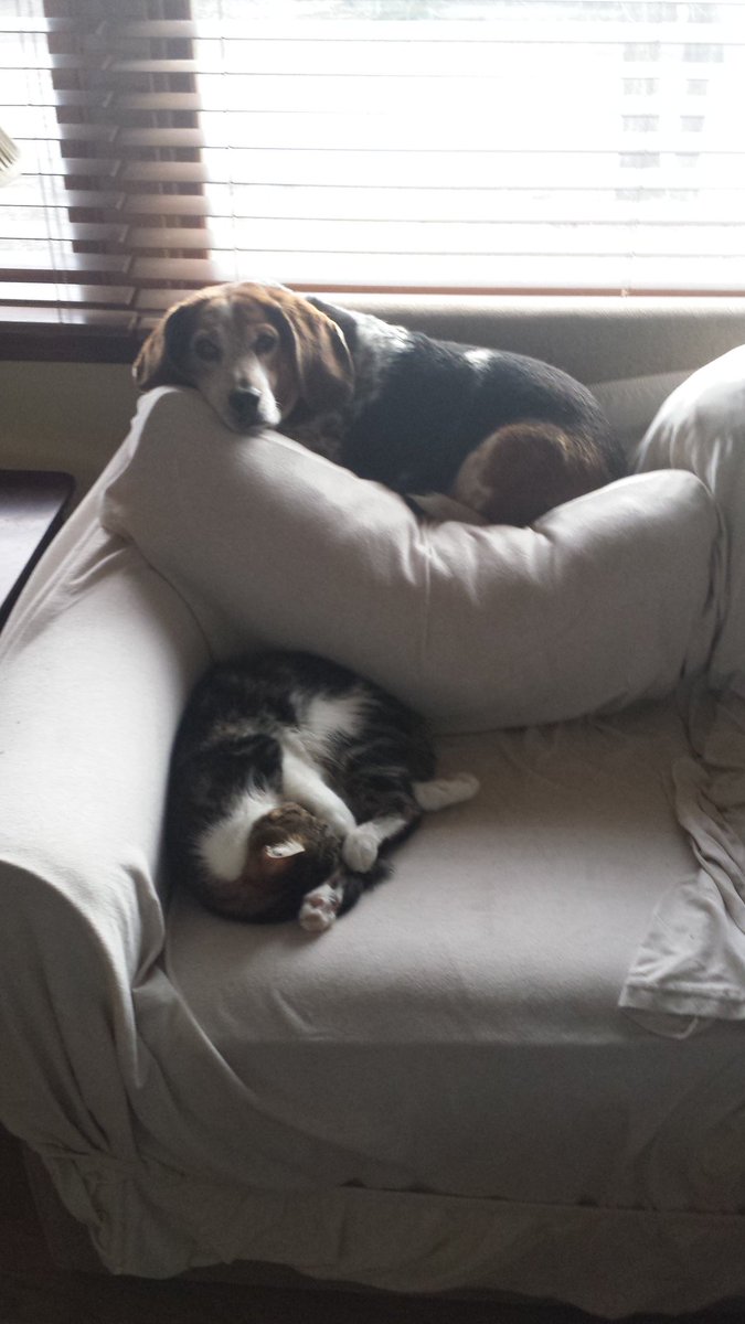 Sanford Arbogast tweet media