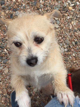 McGidget's tweet image. Playing outside!!!!