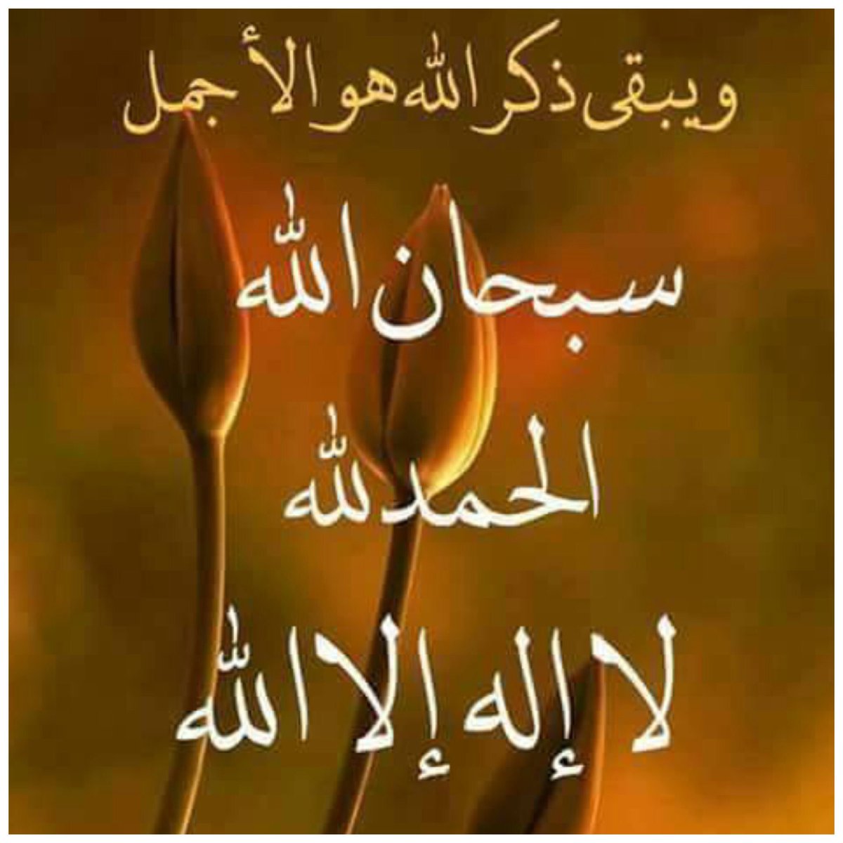  ﮼مغرد ٰ❥ 🇰🇼 tweet media