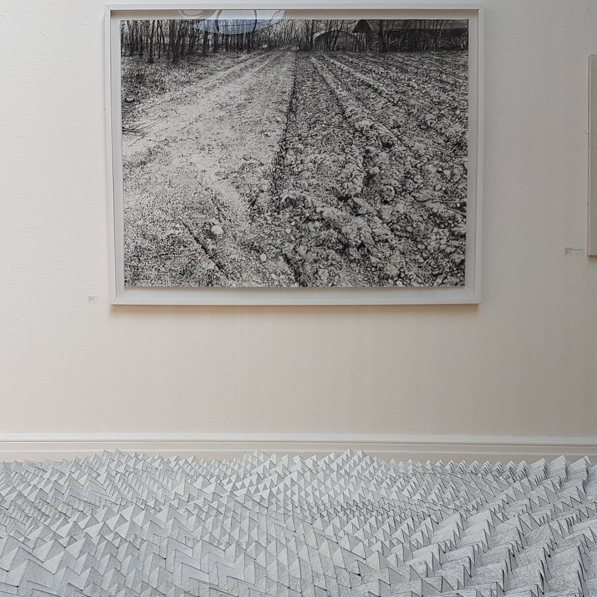 IanPriceArt's tweet photo. Really enjoyed the #drawn2017 exhibition @RWABristol. Also the drawing from the RWA collection is fab. Loved the blue monkfish. Recommended. https://t.co/f5sebTeDA5