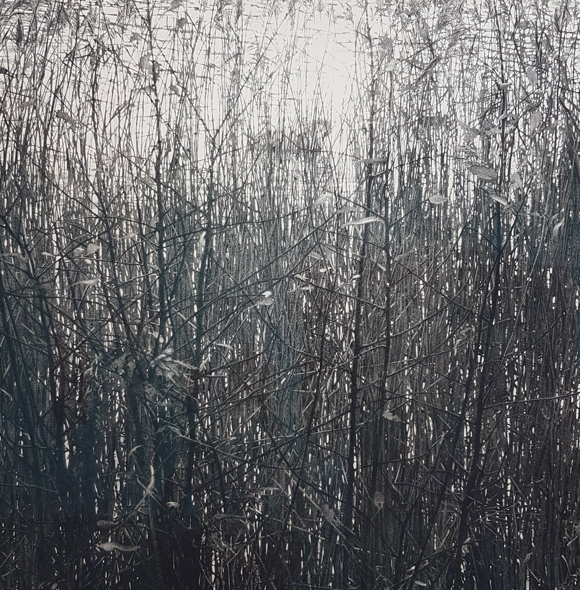 IanPriceArt's tweet photo. Really enjoyed the #drawn2017 exhibition @RWABristol. Also the drawing from the RWA collection is fab. Loved the blue monkfish. Recommended. https://t.co/f5sebTeDA5