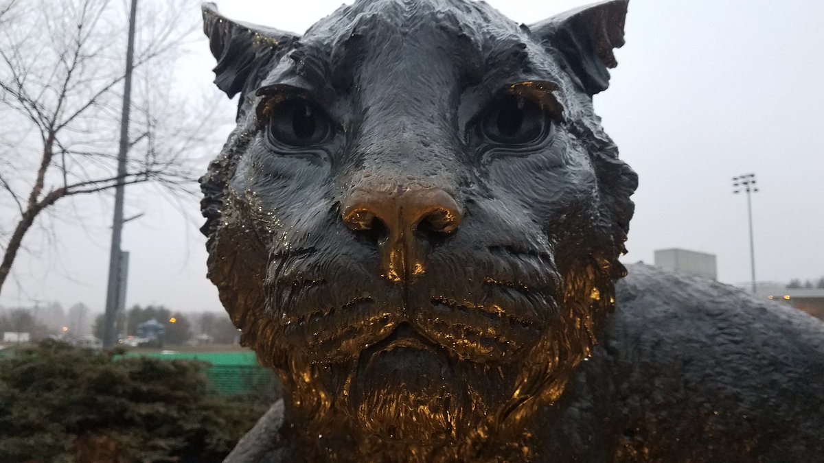 riotcrew58's tweet photo. We're in Wildcat country now. Go Teams!! #necmp #wearene #FIRST https://t.co/H4u1yfxuWK