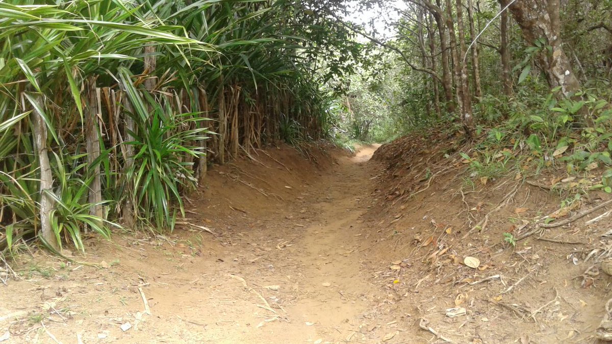 Carina #beta (@carina134545) on Twitter photo 