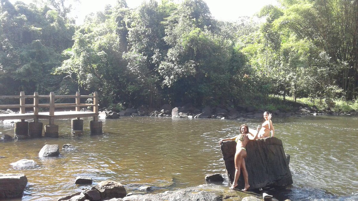 Carina #beta (@carina134545) on Twitter photo 