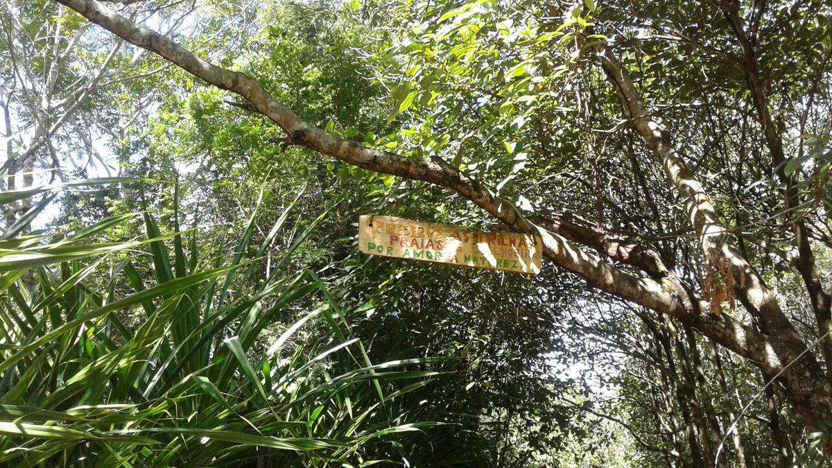 Carina #beta (@carina134545) on Twitter photo 