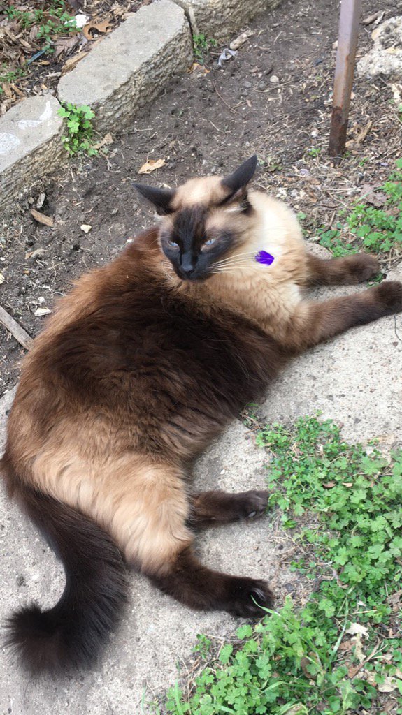 View image on Twitter View image on Twitter