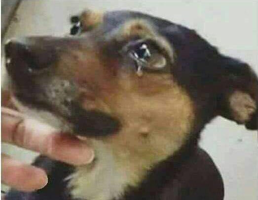 والله هذا اشرف من الذين رحبوا بالقصف الأميركي على سوريا.!!😉