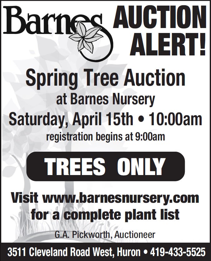 Barnes Nursery On Twitter The 2017 Barnes Nursery Spring Tree