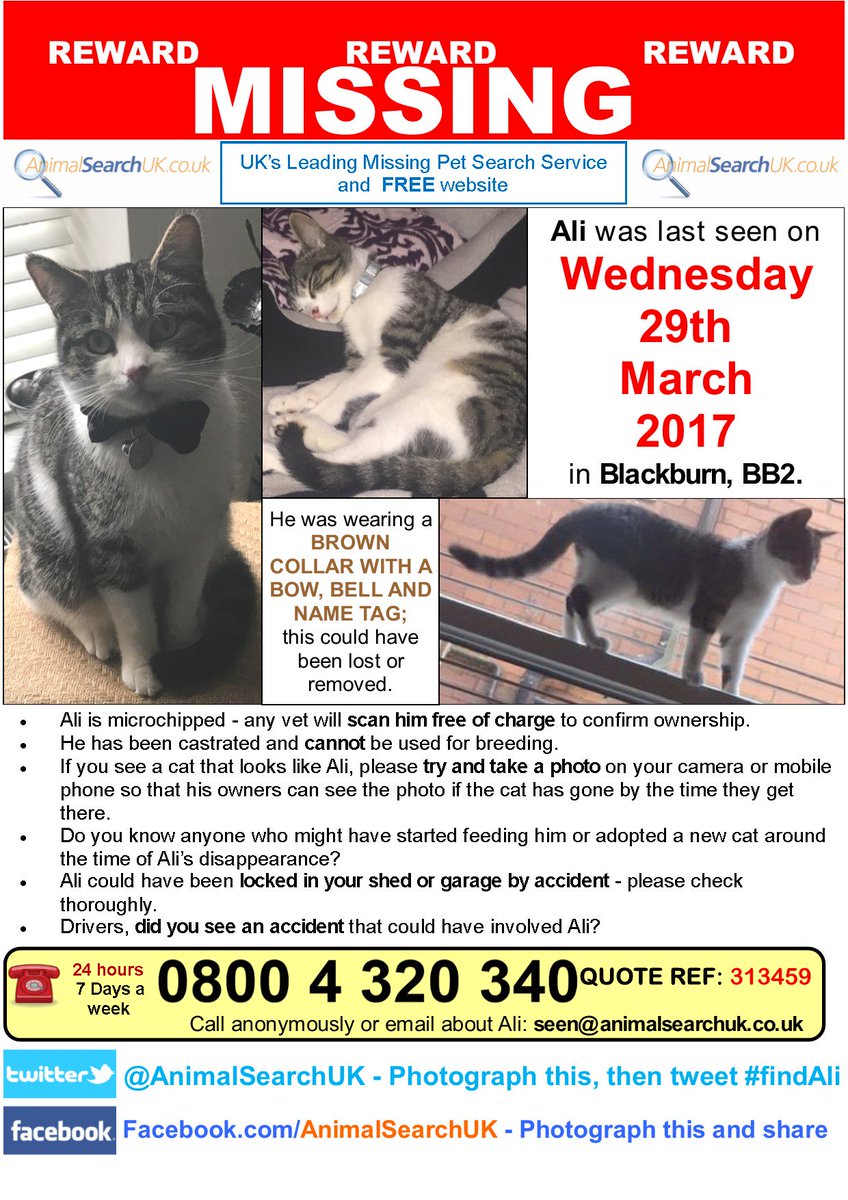 AnimalSearchUK's tweet photo. PLZ RT @CatsProtection @RSPCA_official #missingcat #blackburn #bb2 #findali https://t.co/zdOyRe1wkk https://t.co/4dH4P7BN5E