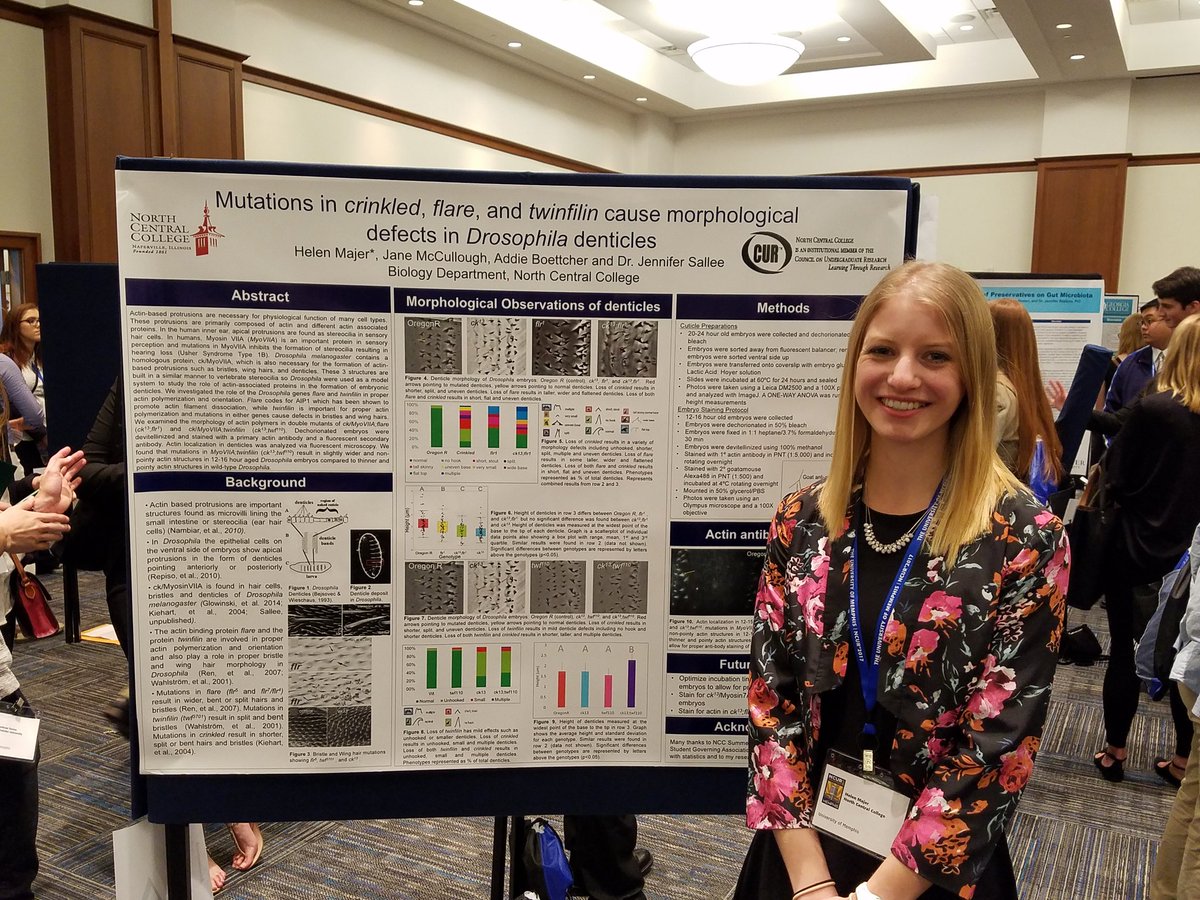 GermanNCC1's tweet photo. NCC is Biology.  Helen Majer presents independent research #NCUR2017 in #Memphis @northcentralcol @PrezHammond @NCCStudSuccess https://t.co/tuMO1Tfrow