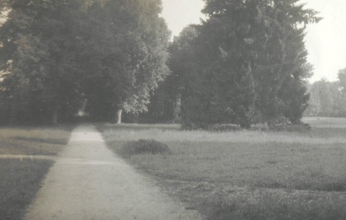 Первая Мировая война в фотографиях.