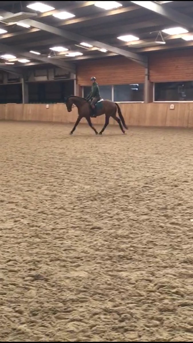 Jay Kane Eventing tweet media