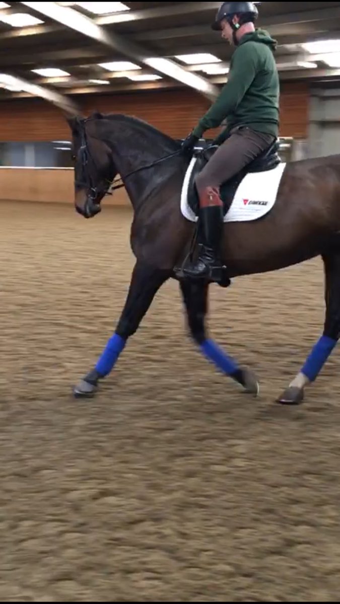 Jay Kane Eventing tweet media