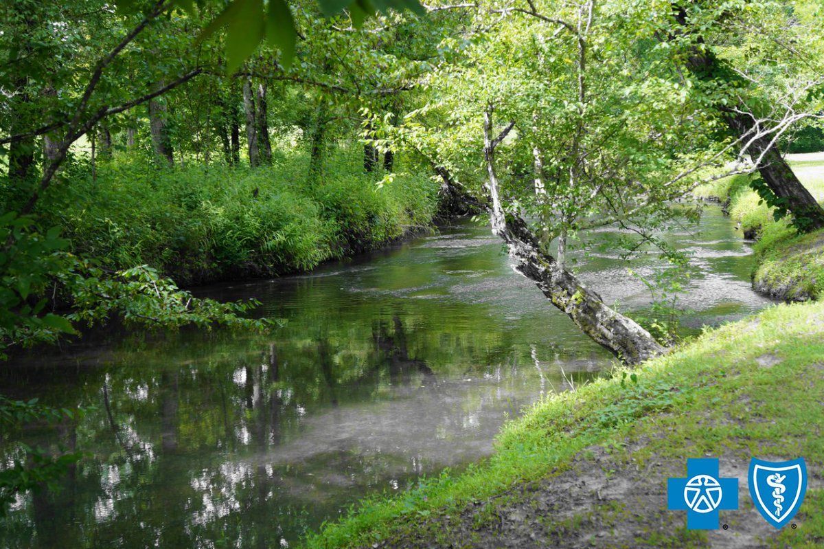 BCBSofAlabama's tweet photo. Spring Creek. #alabamabeautiful #SpringCreek https://t.co/hxYChM6kn2