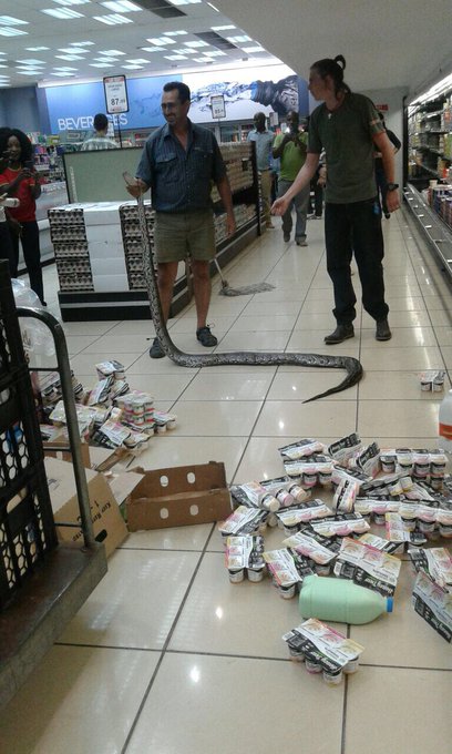 View image on Twitter View image on Twitter