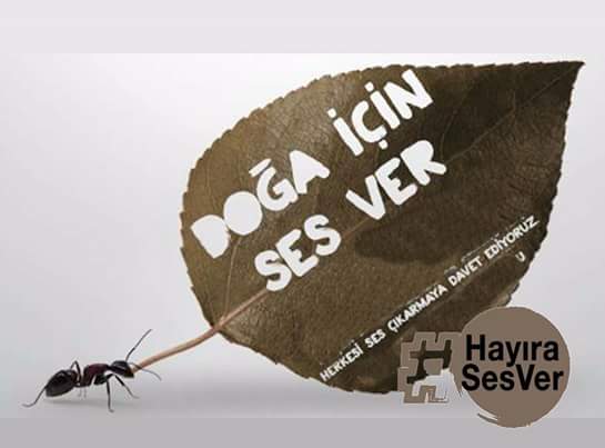 bisar icli (@bisaricli) on Twitter photo 