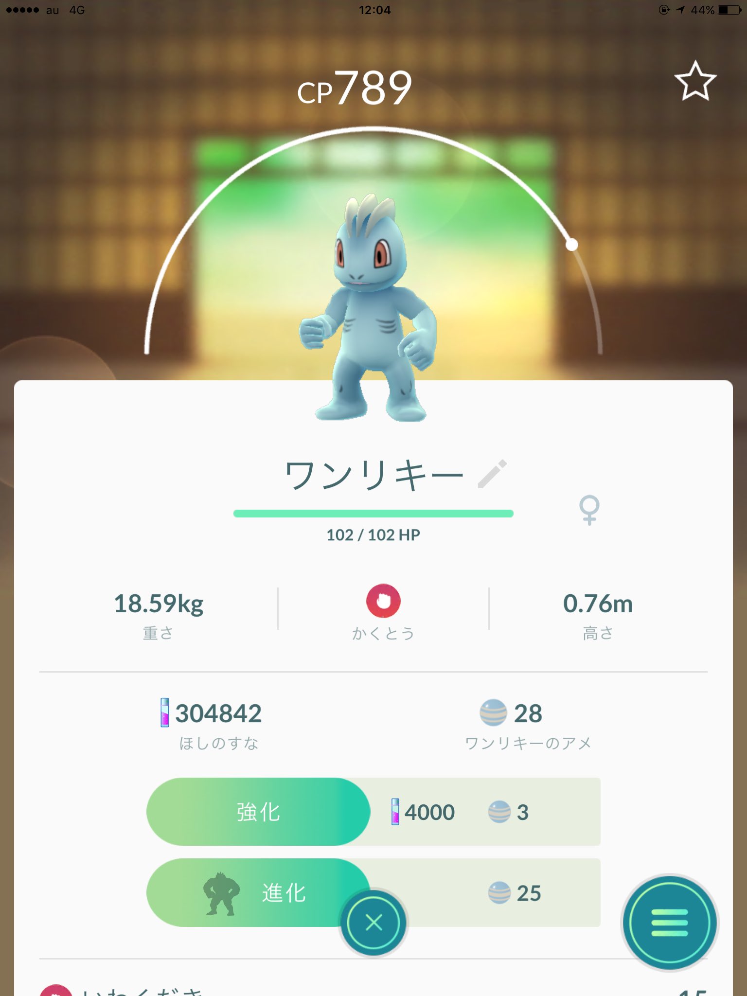 ゆきしば ドラクエウォーク ワンリキーと代々木公園でお花見 ぼっち アメどこまで伸びるかな ポケモンgo