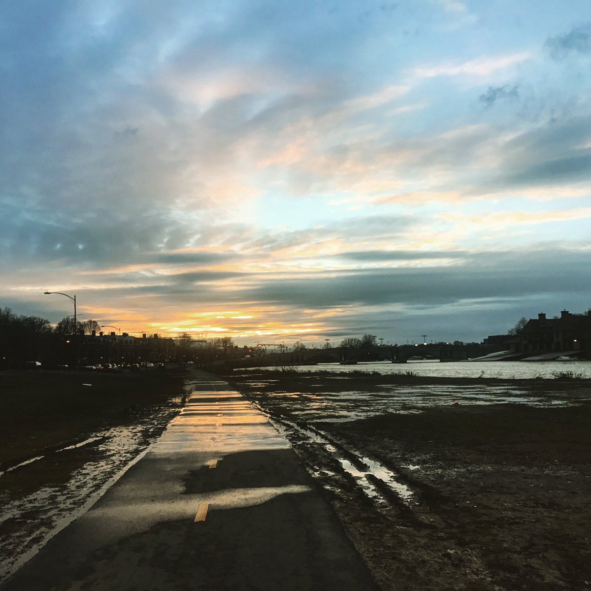 ton ferraro tweet media