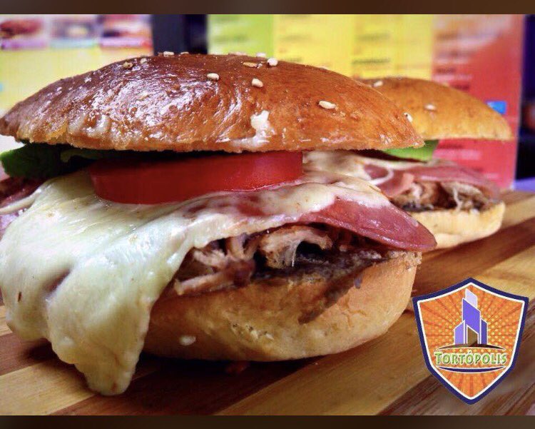 Tortopolis tweet media