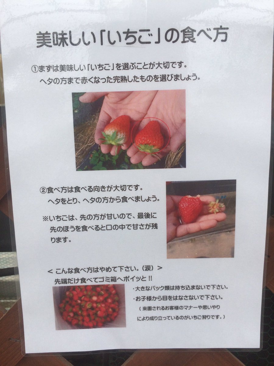 和銅農園いちご 写真付で見やすい これを見ていちご狩りに行きましょう こうならないために いちご狩り ja 秩父 いちご 部会 作成 ありがたや 和銅農園 和銅農園いちご 写真付で見やすい これを見ていちご狩りに行きましょう こうならないために いちご狩り ja 秩父 いちご 部会 作成 ありがたや 和銅農園