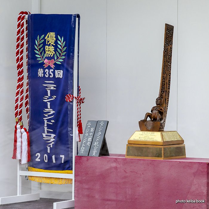 ニュージーランドトロフィー 中山競馬では本日のメインレースのレイと