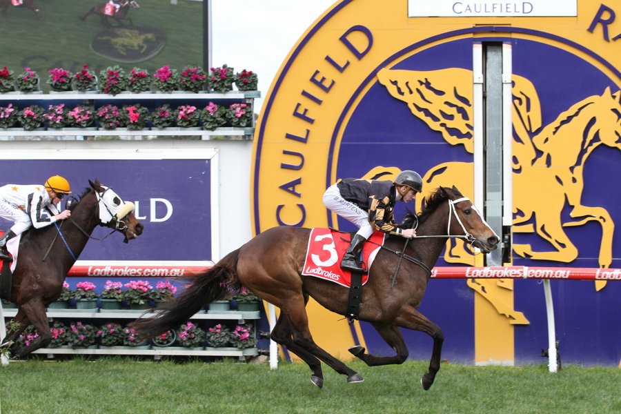 GrandSyndicates's tweet photo. Good luck to both Tykiato & Khutulun who return to Caulfield today!
Both winners at the track already #TeamGrand #AGrandAShare https://t.co/talbAtxBvi