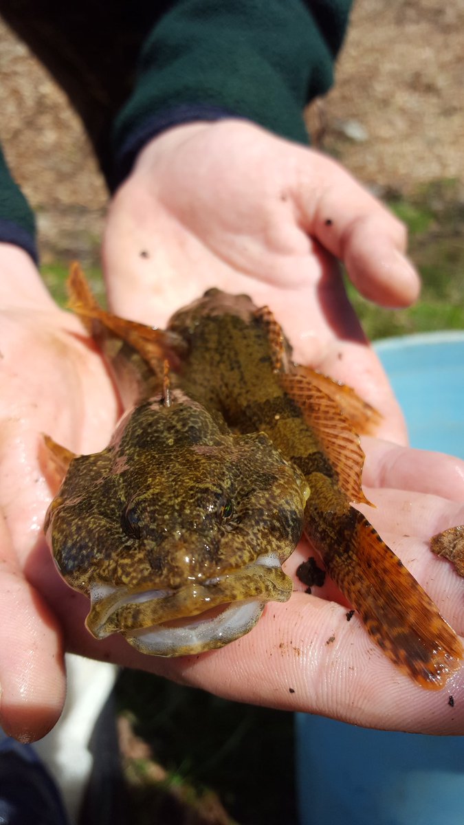 Zach Martin tweet media