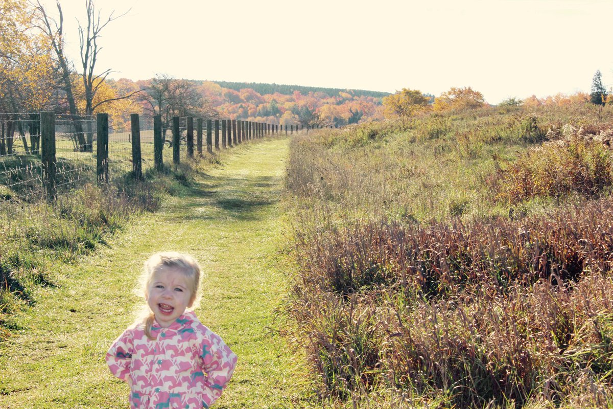 cabiggsy's tweet image. #MerrellCanada and #TAKEAHIKE