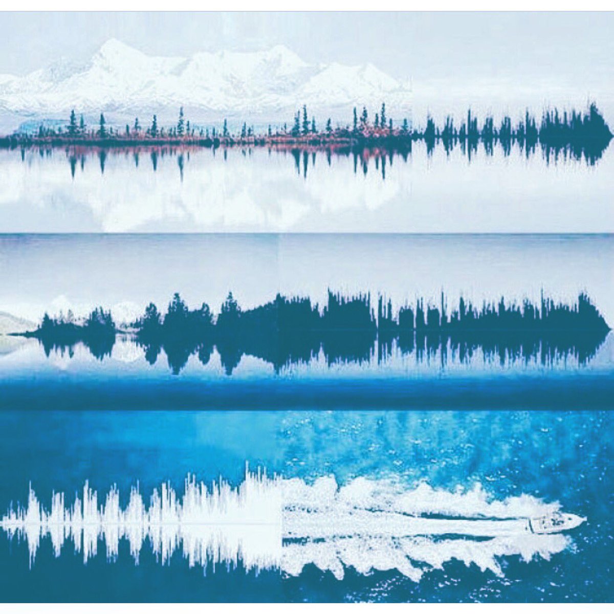 Studio Senter tweet media