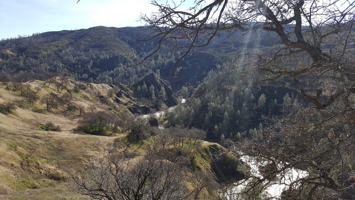 MendocinoNF tweet picture
