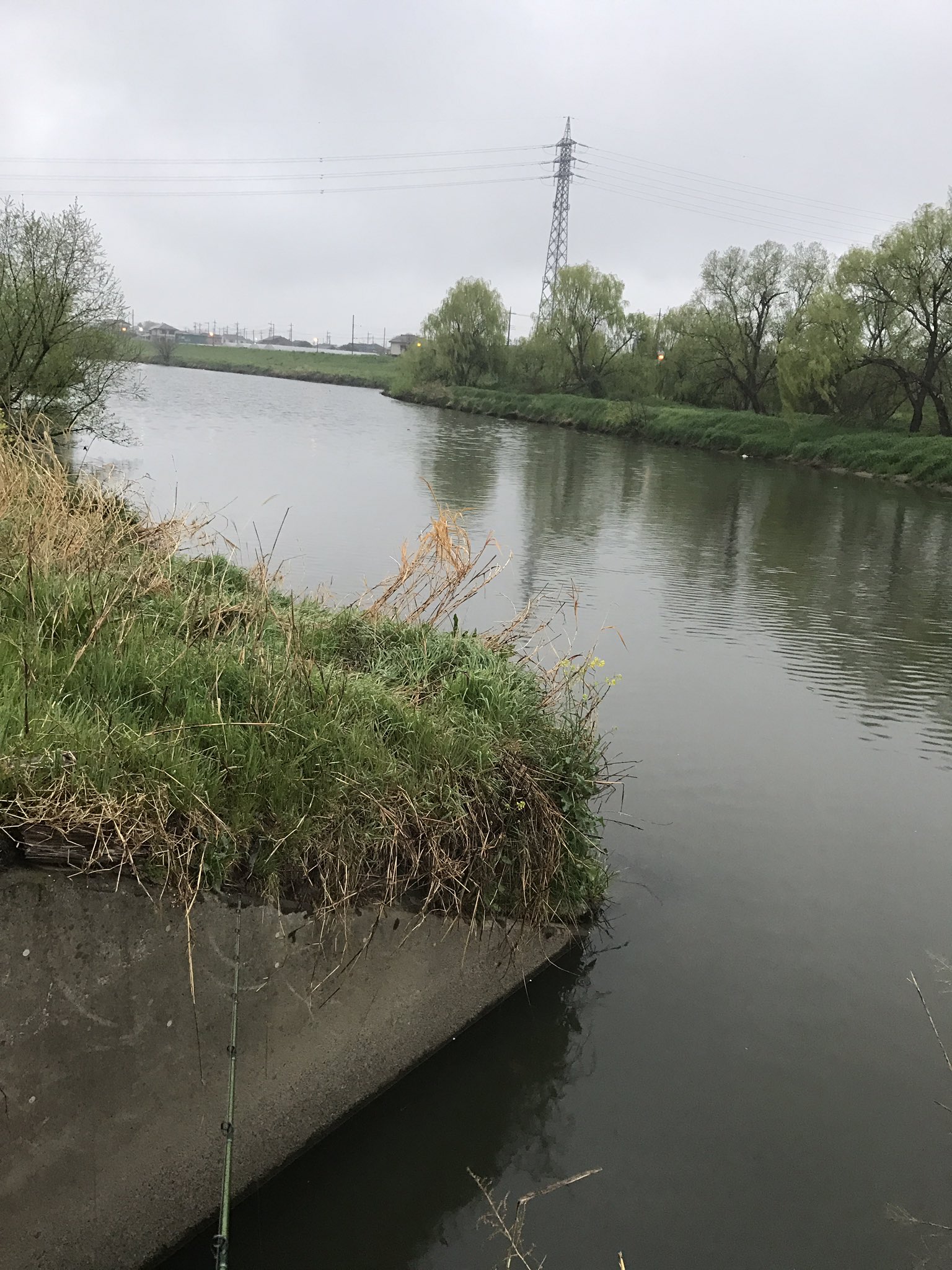 バス釣りびュ ト 未だ春は訪れず 凸 小 13 北北西1m グレー濁り 50cm 元荒川 越谷 s2c1g0 ブラックバス バス釣り Bassfishing 陸っぱり Lure Angler Fisherman Blog T Co Bl8hlv8qax T Co Ympbnz2x Twitter バス釣りびュ ト 未だ春は訪れず 凸 小 13 北北西1m グレー濁り 50cm 元荒川 越谷 s2c1g0 ブラックバス バス釣り Bassfishing 陸っぱり Lure Angler Fisherman Blog T Co Bl8hlv8qax T Co Ympbnz2x Twitter