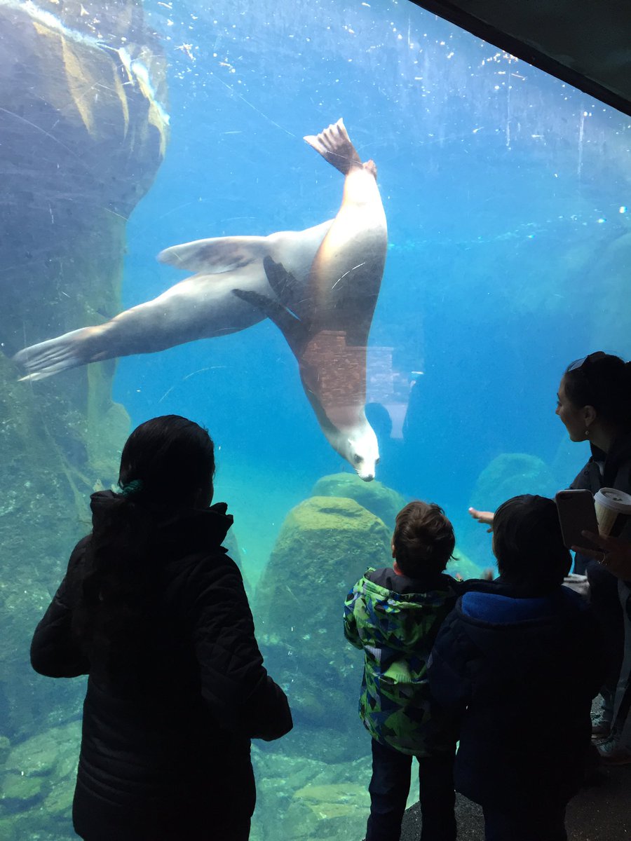 Ms. Clyne tweet media