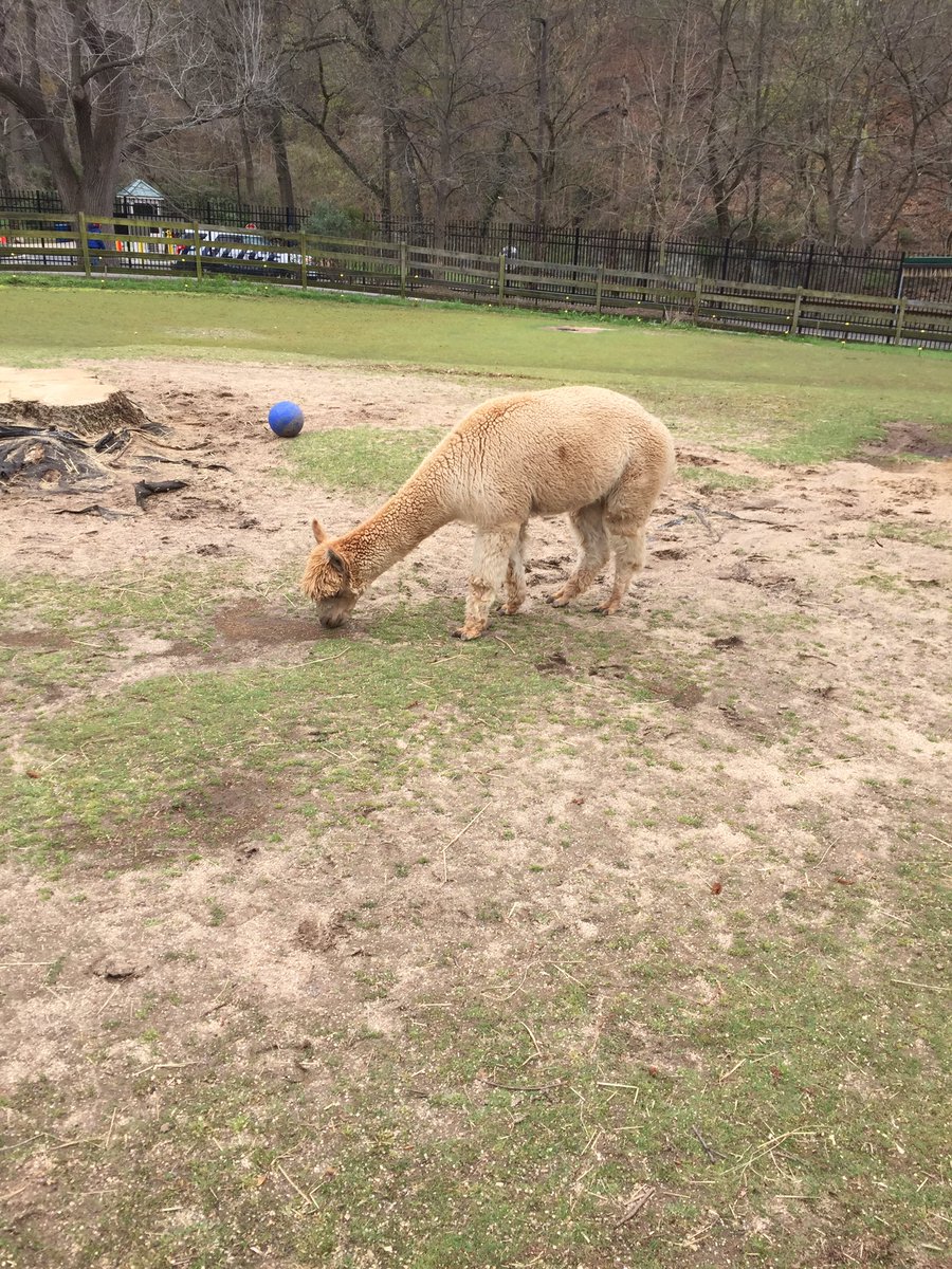 Ms. Clyne tweet media