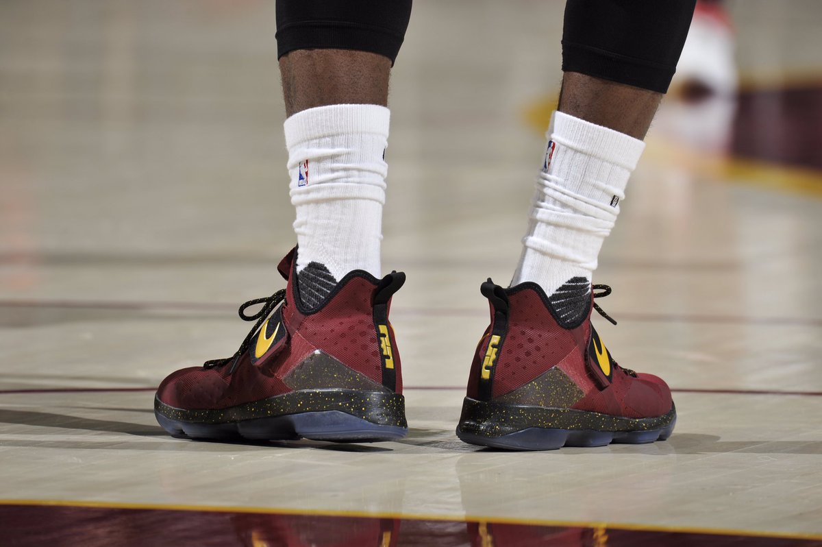 lebron 14 pe