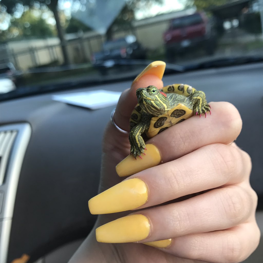 kianaalol's tweet image. gotta keep me &amp;amp; my babygirl&apos;s grippers lookin fresh 😜💅🏼