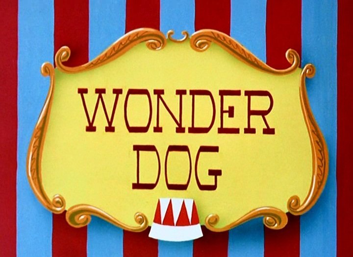 pluto the wonder dog