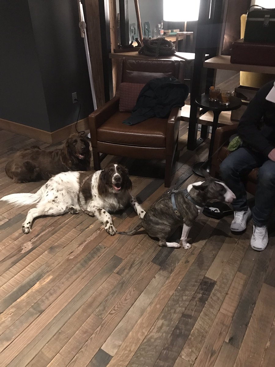 glptrainermn's tweet photo. Out for cocktails at #Hewing https://t.co/OMbl0roSwu
