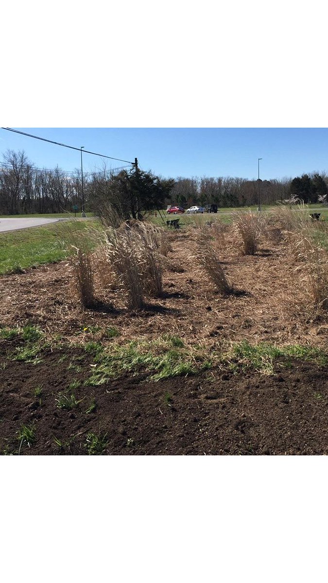 csdmeadow2020's tweet photo. Before and after the recent improvements, weeded and new soil put in. Plants soon to be planted!! https://t.co/DXcrjdhPQK